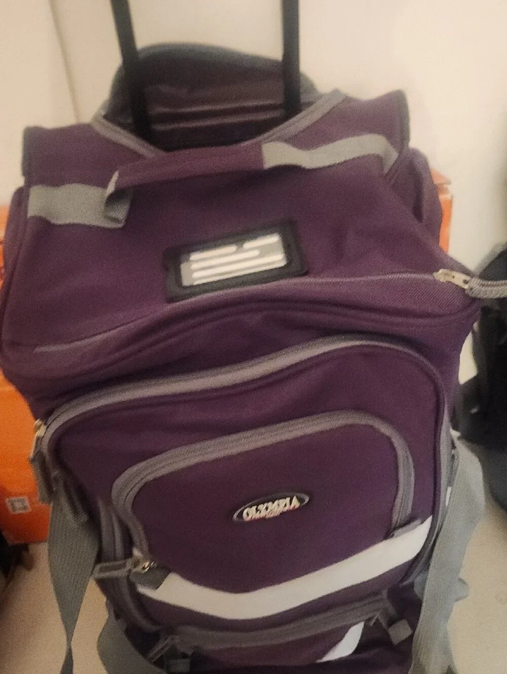 N/A men’s backpack